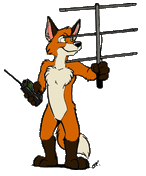 Fox Hunt X